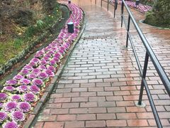 -桃源台景观餐厅