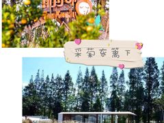 -前小桔亲子创意农场·草莓采摘·露营烧烤