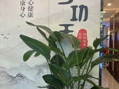 -手功王养生·足疗按摩·SPA·采耳(天府路店)