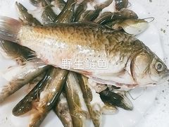 -苗家特色土烙锅·老字号