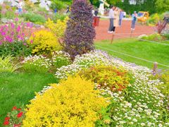 -上海共青森林公园