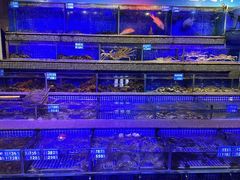 -青蓬蒸汽海鲜·深圳老字号·团建聚会(壹方城店)