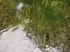 -水磨沟公园