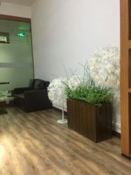 点击看大图 -六月嫁期婚礼(旗舰店)