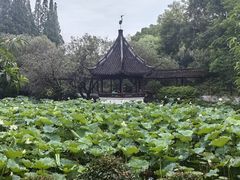 -上海醉白池公园