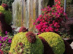 -合肥滨湖国家森林公园