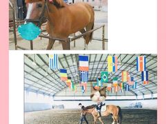 -月河湾马术俱乐部(朝阳店)