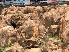 -昆明动物园