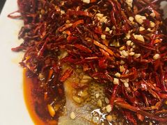 -杨氏青龙虾·羊蝎子(珠江路店)