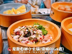 -龍歌自助小火锅(李沧丽达店)