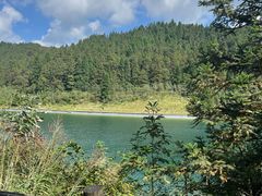 -武陵山森林公园