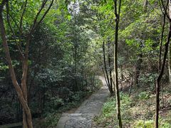 -鄣山大峡谷