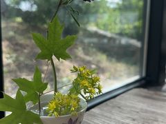 -北马山庄植趣咖啡