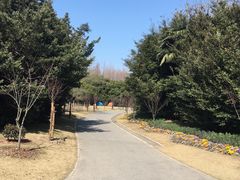 -上海滨江森林公园