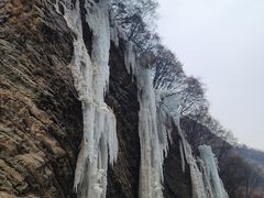 -少华山国家森林公园