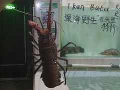 -海盗餐厅