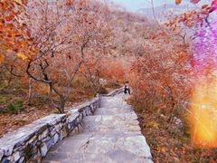 -周口店坡峰岭风景区