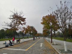 -眉山湿地公园(东坡区)