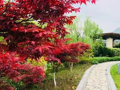 -宁波九龙湖开元度假村
