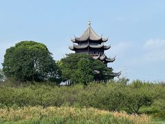 -上海海湾国家森林公园