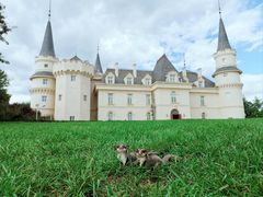 -北京张裕爱斐堡酒庄