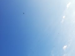 -雅鲁激流探险漂流