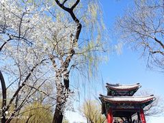 -颐和园