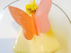 -蝶舍·MAISON PAPILLON