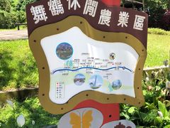 -瑞穗牧场