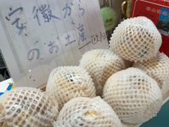 -帝京日语(春熙路旗舰校区)