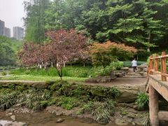 -重庆彩云湖湿地公园