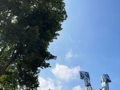 -阳台山森林公园