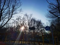 -朝阳公园游乐园