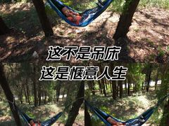 -涂山风景区