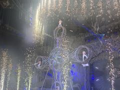 -广州长隆国际大马戏