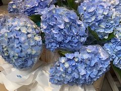 -盒马鲜生(曜一城店)