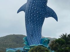 -珠海长隆海洋王国