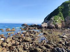 -西涌国际滨海旅游区