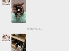 -瑞派名望志远动物医院·猫科·內科·异宠专科(直港大道店)