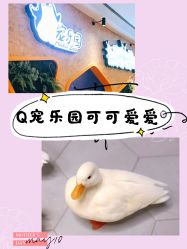 -七巧国萌宠乐园(龙湖天街店)