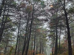 -缥缈峰景区