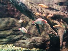 -苏州海洋馆