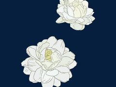 -八哥美术·成人美术画室(总校区)