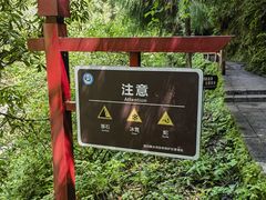 -西岭雪山大飞水景区