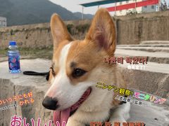 -小南海站