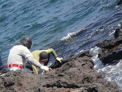 -龙头岩(Dragon Head Rock)
