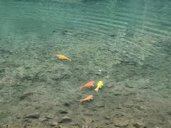 -五泄景区