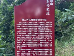 -黄埔油麻山森林公园