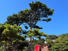 -妙峰山风景名胜区