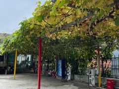 -钰田大院·怀柔地道农家菜·烤虹鳟鱼(雁栖湖店)